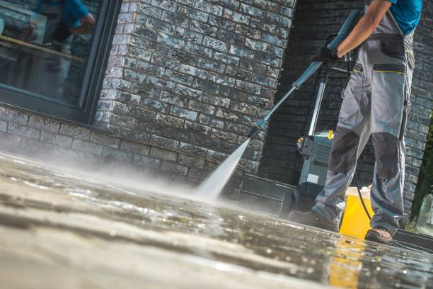 Best Animal Enclosure Cleaning  in Lonsdale, MN