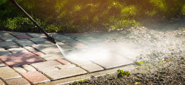 Best Roof Washing  in Lonsdale, MN
